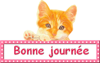 Gif animé bonne journée chaton